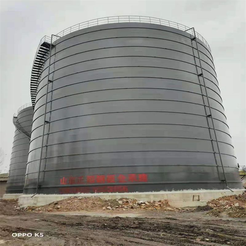 临城镇3万吨大型钢板库