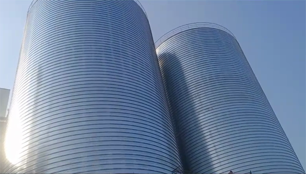 临城镇2座混凝土高架卷板仓